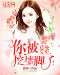 傅先生有喜了免费观看