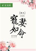 宠妻如命重生完整版免费阅读