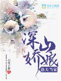 愚夫当家免费阅读