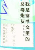 我是穿书文里的恶毒炮灰简介