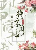 卸甲后我待字闺中 无弹窗