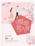 暖婚甜入骨讲的什么