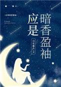 应是暗香盈袖讲了什么