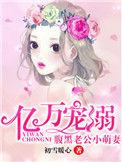腹黑老公小萌妻温泽昊