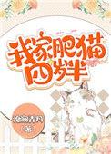 我家肥猫四岁半类似