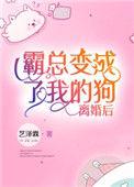 离婚后霸总天天想娶我无弹窗