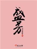 盛芳讲的什么