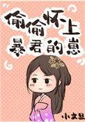偷偷怀上暴君的崽完结