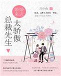 总裁先生太傲娇免费阅读全文苏安