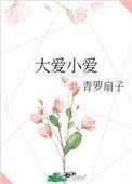 大爱小爱轻罗扇子TXT