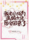 我老公成为满级大佬后穿回来了 作者林绵绵