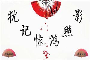 犹记惊鸿照影txt