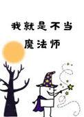 我就是不当魔法师读零零