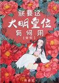 朕要这大明皇位有何用txt