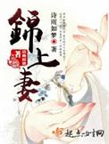 锦上妻 诗雨如梦好看吗