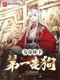 女帝座下第一走狗的梗的含义探讨