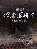 你老婆掉了结局