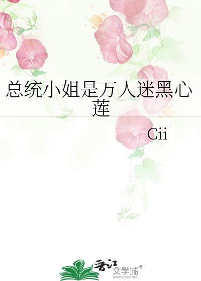 总统小夫人