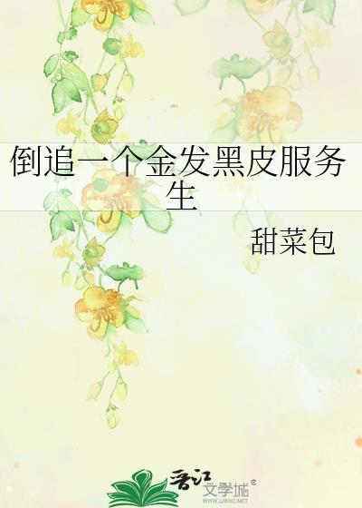 倒追一个金发黑皮服务生结局
