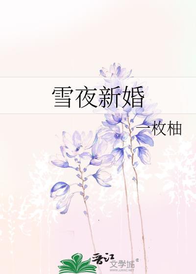 雪夜新婚电影在线观看