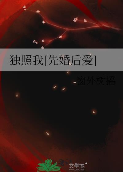 独照