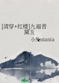 红楼清穿之九福晋
