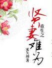 重生之贤妻为难txt