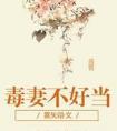 毒妻不好当慕千华著