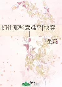 抓住要点什么意思