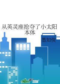 从英灵座抢夺了小太阳本体免费阅读