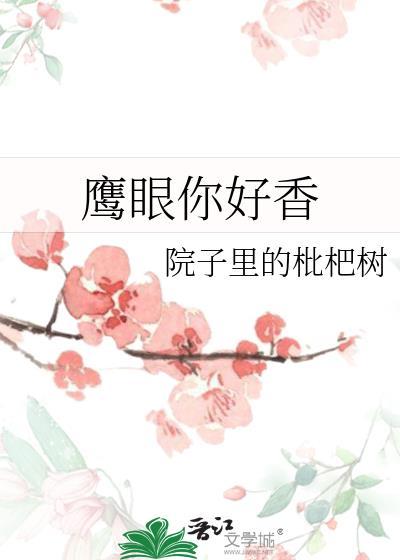 鹰眼合集