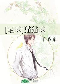 足球猫猫球85