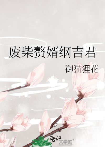 废柴赘婿陆叶