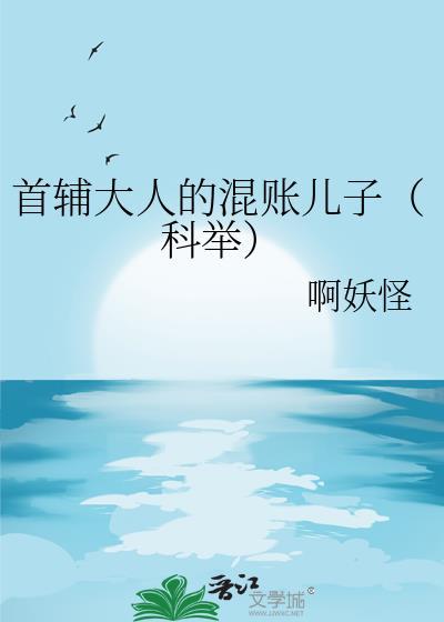 首辅大人系列