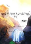 穿成植物人冲喜的寡妇木妖娆结局