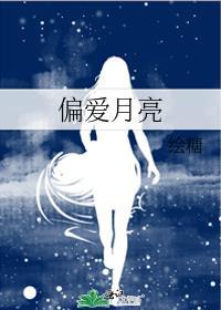 偏爱月亮陈昭免费阅读