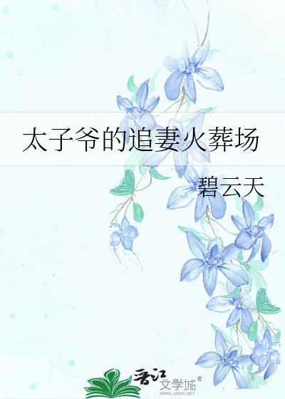 太子爷的追妻火葬场txt书包网