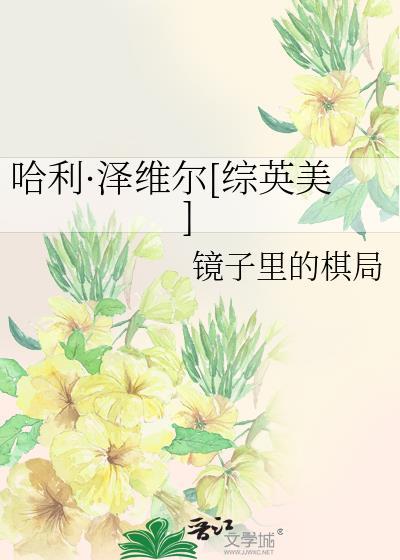 哈利泽维尔综英美txt