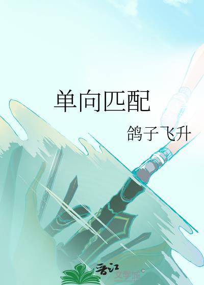 单向匹配 鸽子飞升