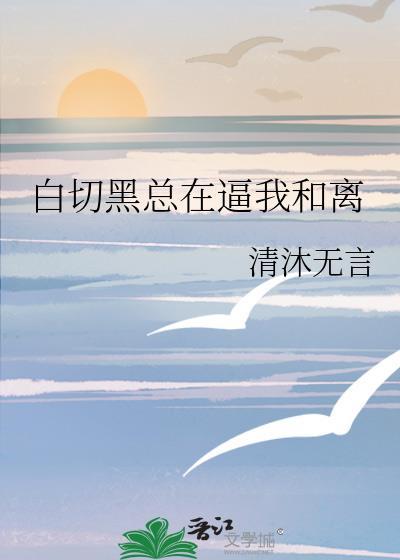 黑切白和白切黑txt