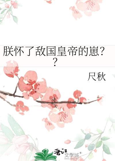 朕怀了敌国质子的崽2k