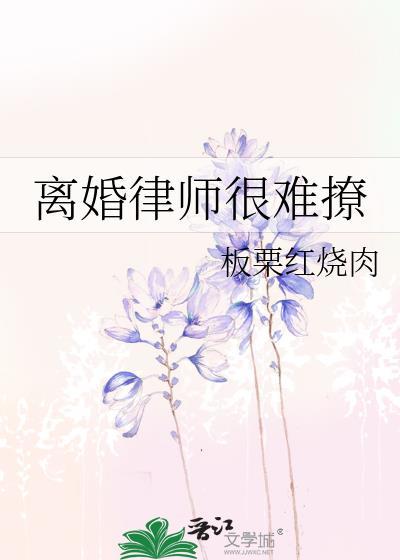 离婚律师费用2025收费标准