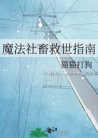 魔法社会