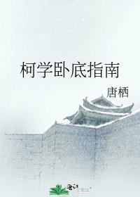 柯学卧底指南TXT精校版