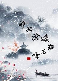 曾经沧海难为水何意
