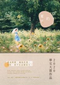 你不在mv