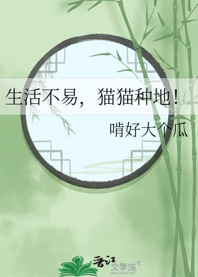 种植猫咪