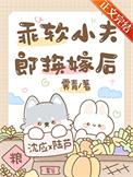 乖软小夫郎换嫁后晋江