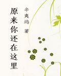 致青春2原来你还在这里在线
