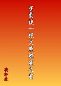 告别燃尽最后一根火柴